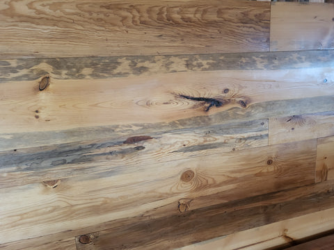 Thermally Modified Blue Pine